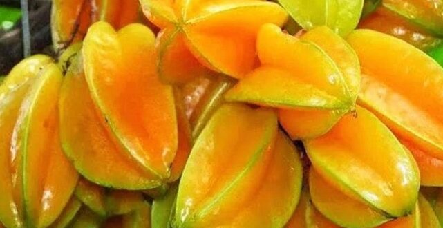 Harga Belimbing per Kg di Pasaran, Jenis, Ciri, Manfaat dan Kandungannya