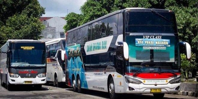 Daftar Harga Tiket Bus Safari Dharma Raya Terbaru