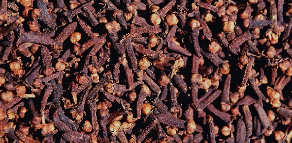 Harga Cengkeh Kering dan Basah Per Kg Terbaru