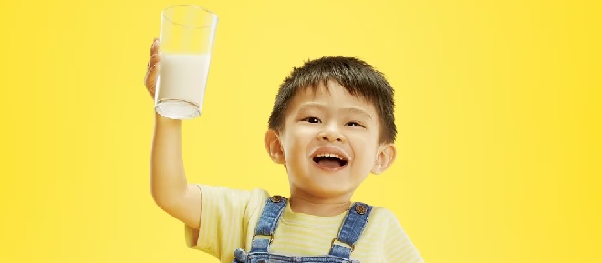 Daftar Harga Susu Formula Terbaru