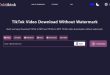 Mengenal Toktiktok Situs Web Tiktok Downloader tanpa Watermark