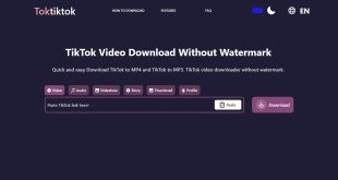 Mengenal Toktiktok Situs Web Tiktok Downloader tanpa Watermark
